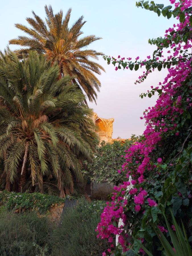 Golden Palms Guest House & Cafe Famagusta  Bagian luar foto