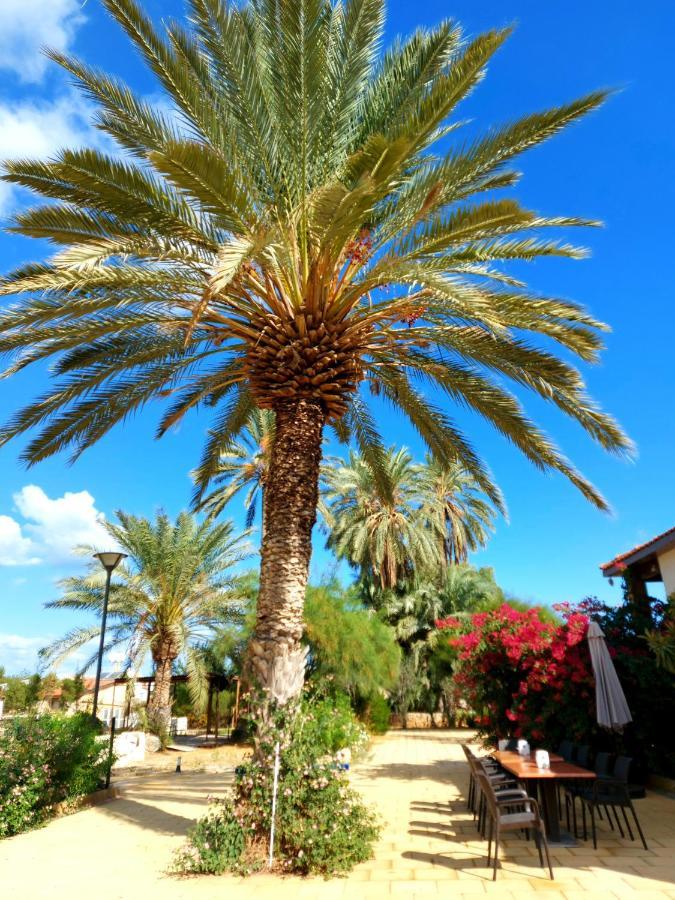 Golden Palms Guest House & Cafe Famagusta  Bagian luar foto