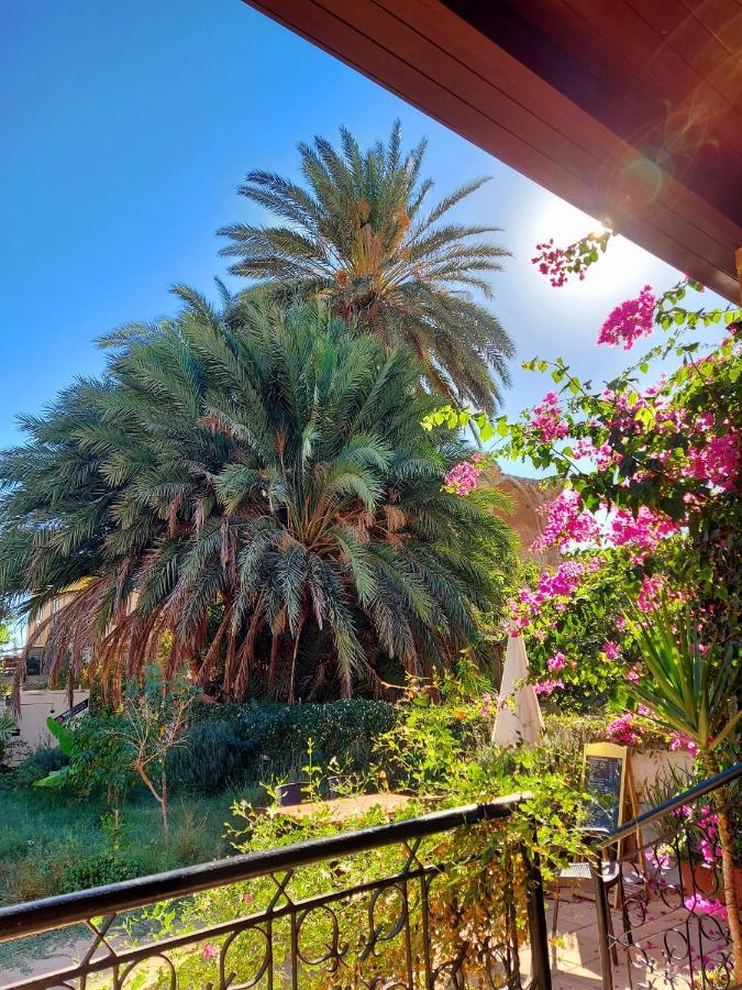 Golden Palms Guest House & Cafe Famagusta  Bagian luar foto