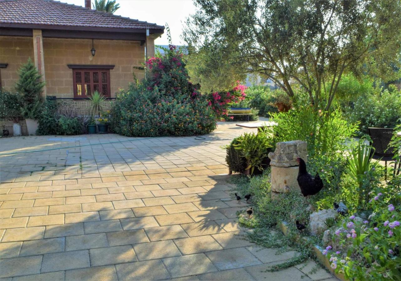 Golden Palms Guest House & Cafe Famagusta  Bagian luar foto